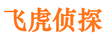 西和侦探公司